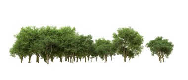 Yeşil orman ıssız. Afişler ve afişler için kullanışlı. 3d oluşturma.