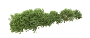 Yeşil orman ıssız. Afişler ve afişler için kullanışlı. 3d oluşturma.