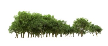 Yeşil orman ıssız. Afişler ve afişler için kullanışlı. 3d oluşturma.