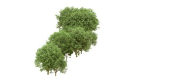 Yeşil orman ıssız. Afişler ve afişler için kullanışlı. 3d oluşturma.