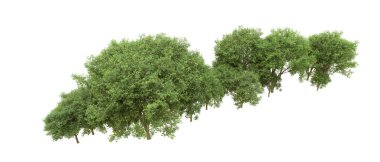 Yeşil orman ıssız. Afişler ve afişler için kullanışlı. 3d oluşturma.