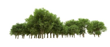 Yeşil orman ıssız. Afişler ve afişler için kullanışlı. 3d oluşturma.