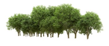 Yeşil orman ıssız. Afişler ve afişler için kullanışlı. 3d oluşturma.