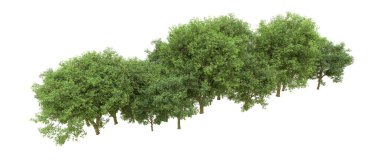 Yeşil orman ıssız. Afişler ve afişler için kullanışlı. 3d oluşturma.