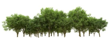 Yeşil orman ıssız. Afişler ve afişler için kullanışlı. 3d oluşturma.