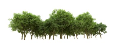 Yeşil orman ıssız. Afişler ve afişler için kullanışlı. 3d oluşturma.