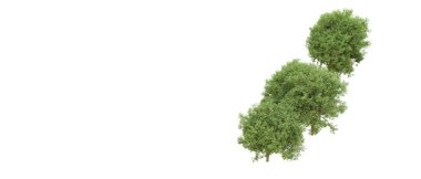 Yeşil orman ıssız. Afişler ve afişler için kullanışlı. 3d oluşturma.