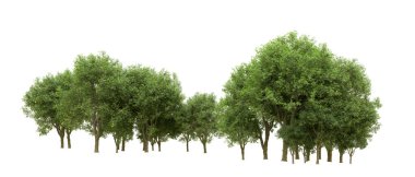 Yeşil orman ıssız. Afişler ve afişler için kullanışlı. 3d oluşturma.