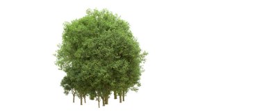 Yeşil orman ıssız. Afişler ve afişler için kullanışlı. 3d oluşturma.