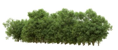 Yeşil orman ıssız. Afişler ve afişler için kullanışlı. 3d oluşturma.