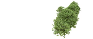Yeşil orman ıssız. Afişler ve afişler için kullanışlı. 3d oluşturma.