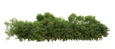 Yeşil orman ıssız. Afişler ve afişler için kullanışlı. 3d oluşturma.