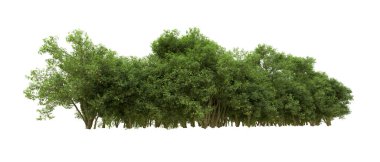 Yeşil orman ıssız. Afişler ve afişler için kullanışlı. 3d oluşturma.