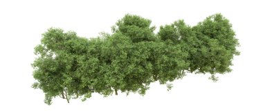 Yeşil orman ıssız. Afişler ve afişler için kullanışlı. 3d oluşturma.