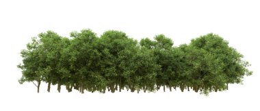 Yeşil orman ıssız. Afişler ve afişler için kullanışlı. 3d oluşturma.