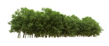 Yeşil orman ıssız. Afişler ve afişler için kullanışlı. 3d oluşturma.