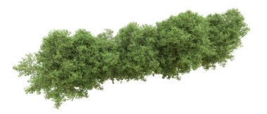 Yeşil orman ıssız. Afişler ve afişler için kullanışlı. 3d oluşturma.