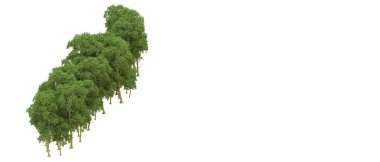 Yeşil orman ıssız. Afişler ve afişler için kullanışlı. 3d oluşturma.