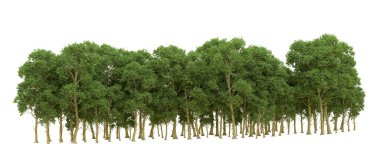 Yeşil orman ıssız. Afişler ve afişler için kullanışlı. 3d oluşturma.