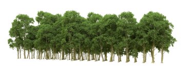 Yeşil orman ıssız. Afişler ve afişler için kullanışlı. 3d oluşturma.