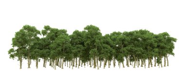 Yeşil orman ıssız. Afişler ve afişler için kullanışlı. 3d oluşturma.