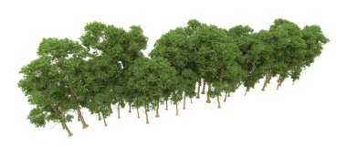 Yeşil orman ıssız. Afişler ve afişler için kullanışlı. 3d oluşturma.