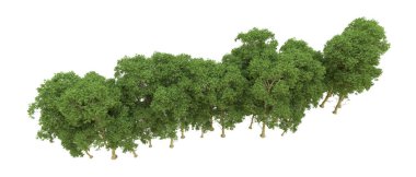 Yeşil orman ıssız. Afişler ve afişler için kullanışlı. 3d oluşturma.