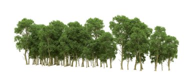 Yeşil orman ıssız. Afişler ve afişler için kullanışlı. 3d oluşturma.