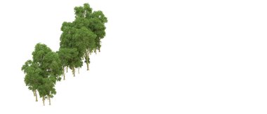 Yeşil orman ıssız. Afişler ve afişler için kullanışlı. 3d oluşturma.