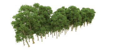 Yeşil orman ıssız. Afişler ve afişler için kullanışlı. 3d oluşturma.