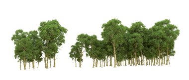 Yeşil orman ıssız. Afişler ve afişler için kullanışlı. 3d oluşturma.