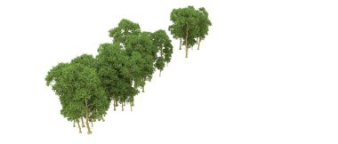 Yeşil orman ıssız. Afişler ve afişler için kullanışlı. 3d oluşturma.