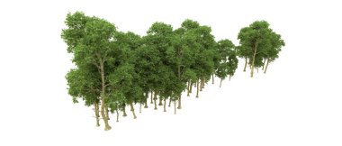Yeşil orman ıssız. Afişler ve afişler için kullanışlı. 3d oluşturma.