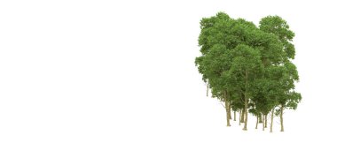 Yeşil orman ıssız. Afişler ve afişler için kullanışlı. 3d oluşturma.