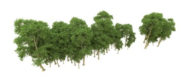 Yeşil orman ıssız. Afişler ve afişler için kullanışlı. 3d oluşturma.