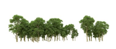 Yeşil orman ıssız. Afişler ve afişler için kullanışlı. 3d oluşturma.