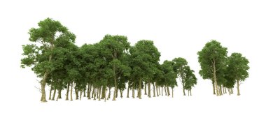 Yeşil orman ıssız. Afişler ve afişler için kullanışlı. 3d oluşturma.