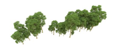 Yeşil orman ıssız. Afişler ve afişler için kullanışlı. 3d oluşturma.