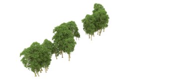 Yeşil orman ıssız. Afişler ve afişler için kullanışlı. 3d oluşturma.