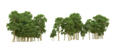 Yeşil orman ıssız. Afişler ve afişler için kullanışlı. 3d oluşturma.