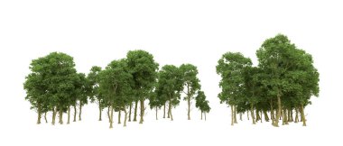 Yeşil orman ıssız. Afişler ve afişler için kullanışlı. 3d oluşturma.