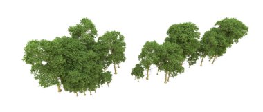 Yeşil orman ıssız. Afişler ve afişler için kullanışlı. 3d oluşturma.