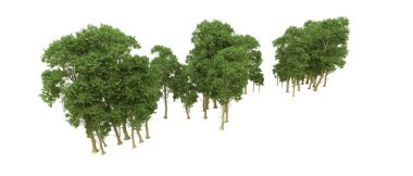 Yeşil orman ıssız. Afişler ve afişler için kullanışlı. 3d oluşturma.