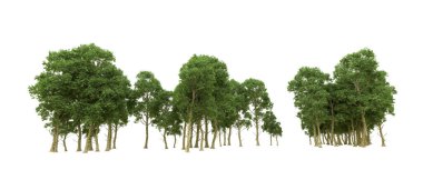 Yeşil orman ıssız. Afişler ve afişler için kullanışlı. 3d oluşturma.