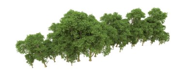 Yeşil orman ıssız. Afişler ve afişler için kullanışlı. 3d oluşturma.