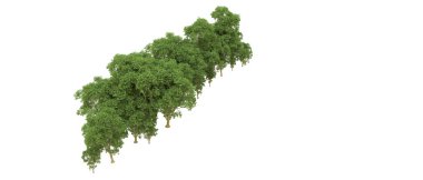 Yeşil orman ıssız. Afişler ve afişler için kullanışlı. 3d oluşturma.