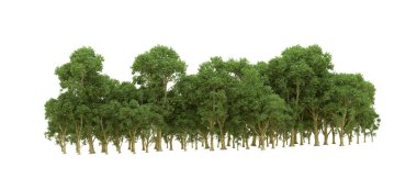 Yeşil orman ıssız. Afişler ve afişler için kullanışlı. 3d oluşturma.