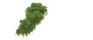 Yeşil orman ıssız. Afişler ve afişler için kullanışlı. 3d oluşturma.
