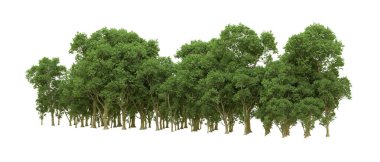 Yeşil orman ıssız. Afişler ve afişler için kullanışlı. 3d oluşturma.