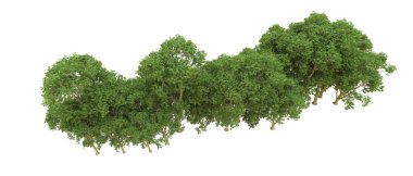 Yeşil orman ıssız. Afişler ve afişler için kullanışlı. 3d oluşturma.